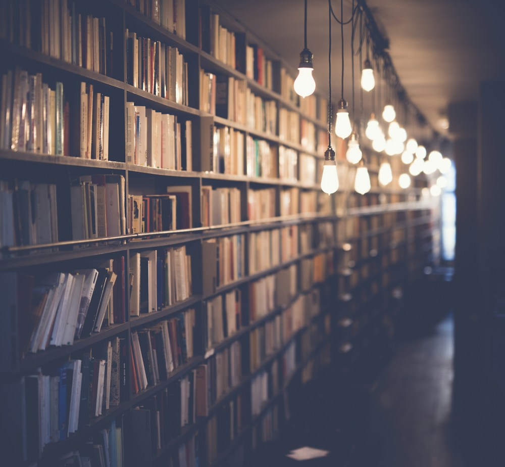 Estanterías de libros que invitan al estudio